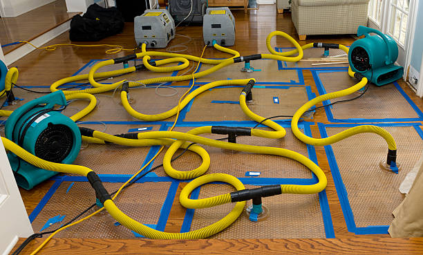 Professional Crawl Space Water Removal technician working in New London, NH